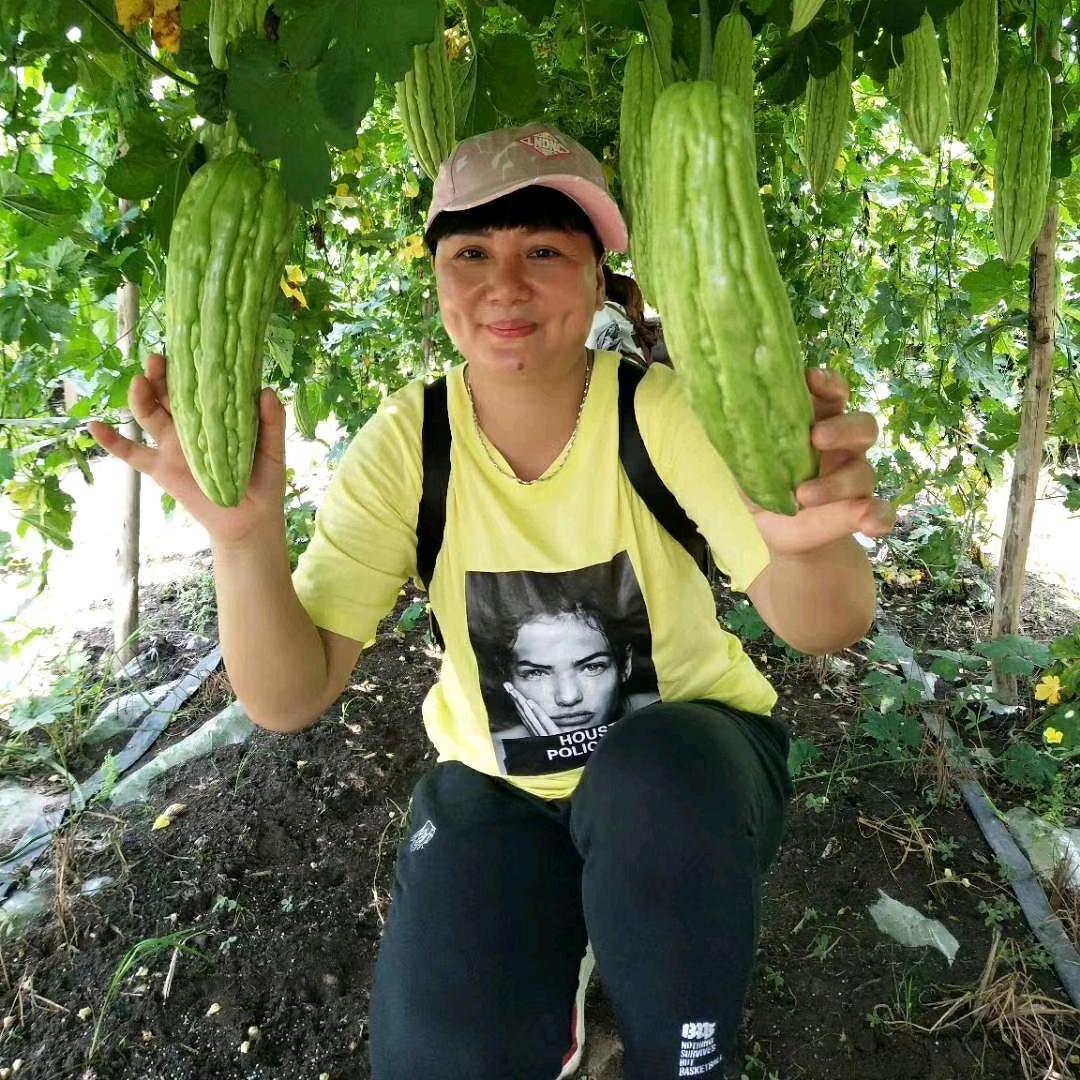 英姑