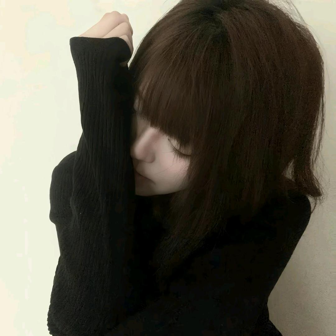 泰迪