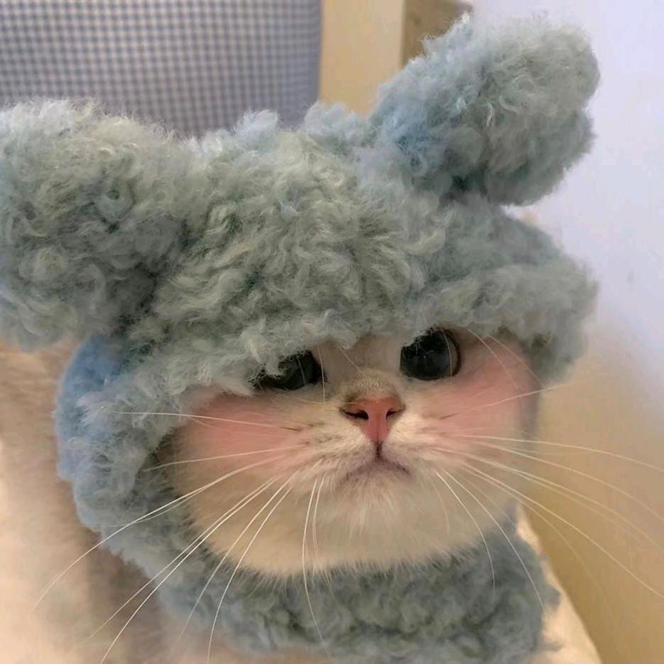 除了晚上都好困