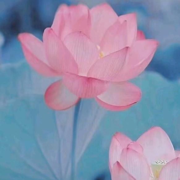 我叫陈账我姓陈