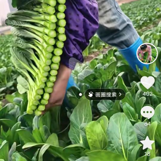 再见再也不想让你