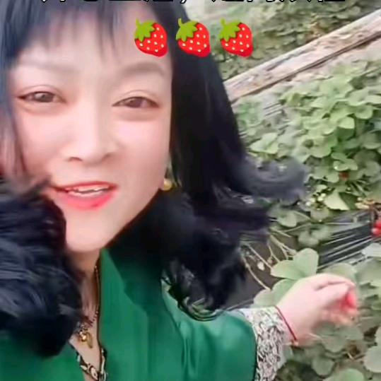 🥇红灯笼🥇