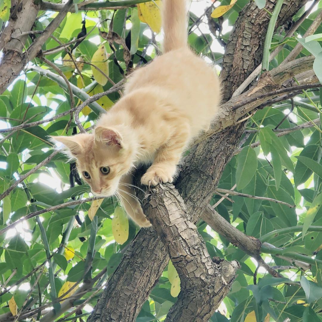 吃苦耐劳是临沧民族的传统美德