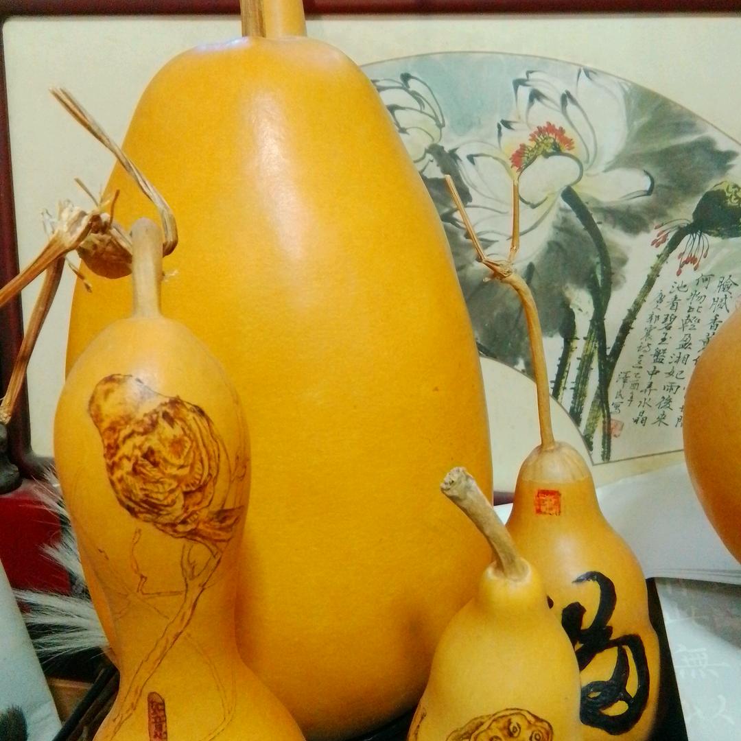 好葫芦