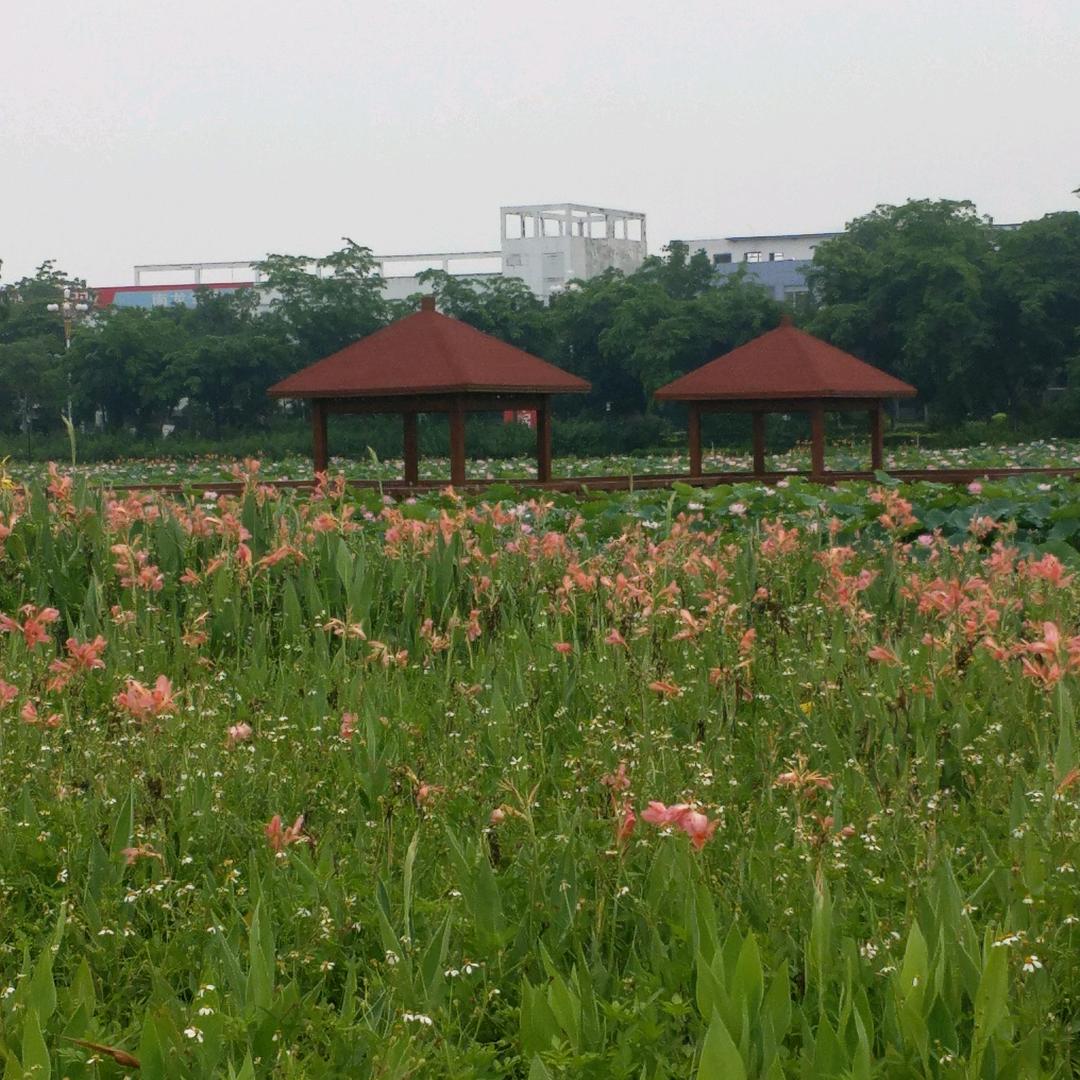 余生有你，
