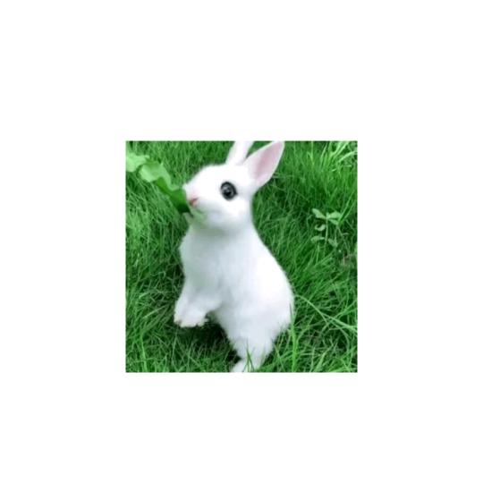 张正文