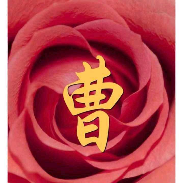 天天好运来。