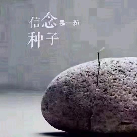 许姐家庭私房水饺馄饨