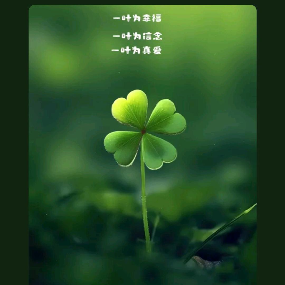 小许日常