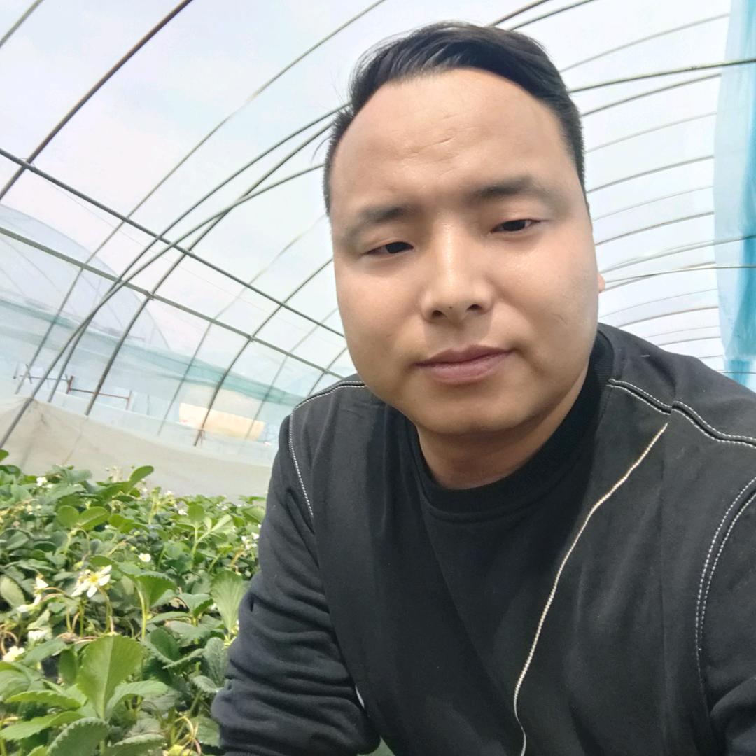 大伟鲜果