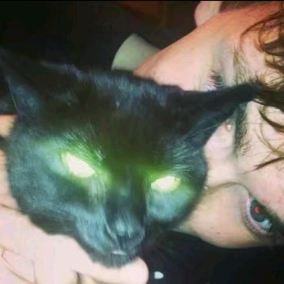 七旬老太爱男模