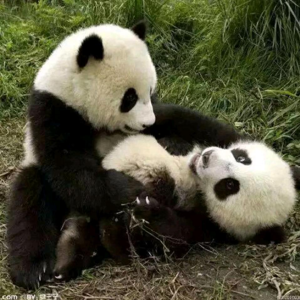 越 来 越 好
