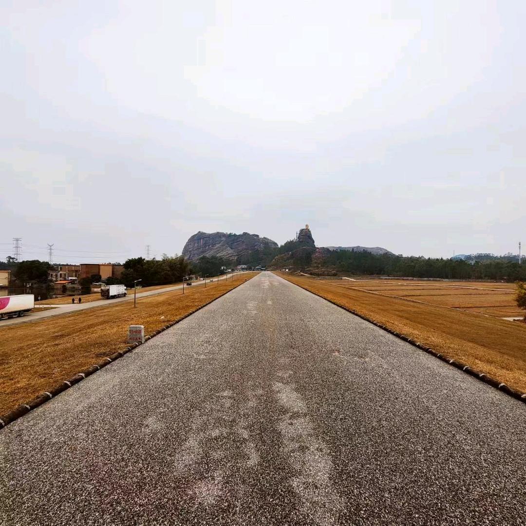 小叶在努力卖货