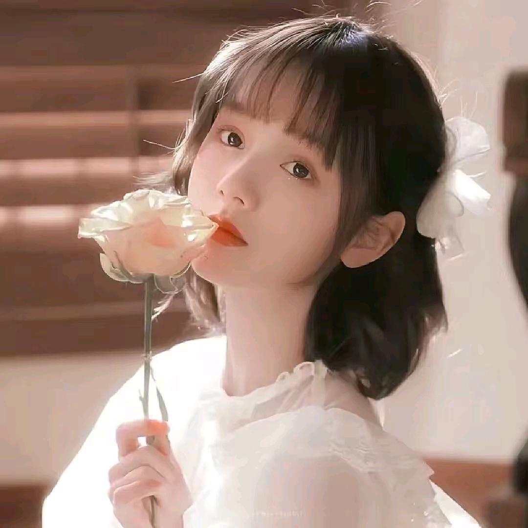 清新菠萝