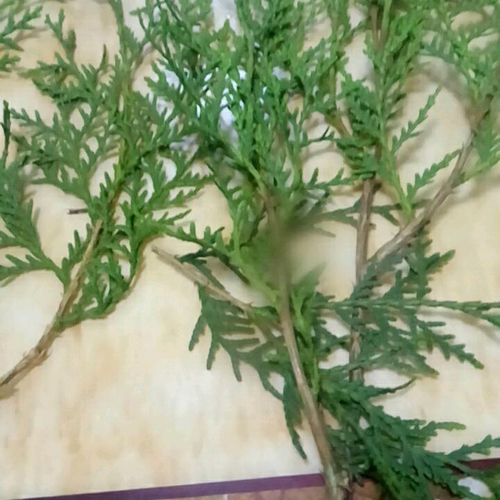 平平淡淡。