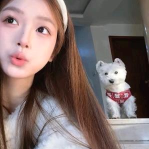 🧊