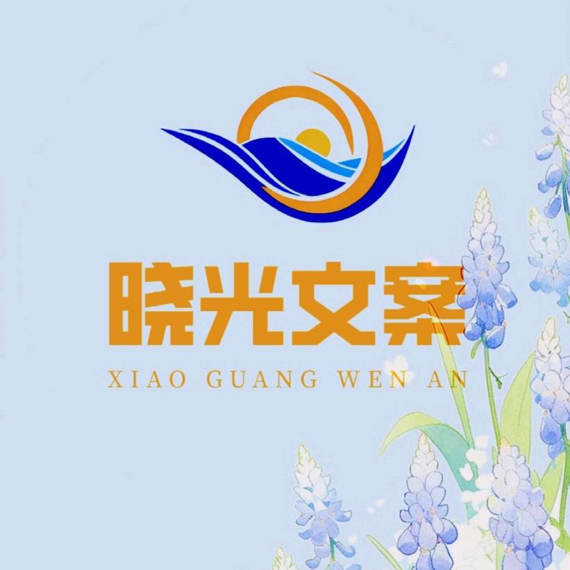 晓光文案（橱窗带货）