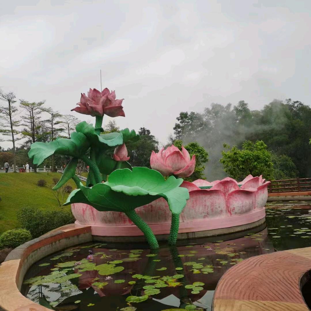 孤独的阳光