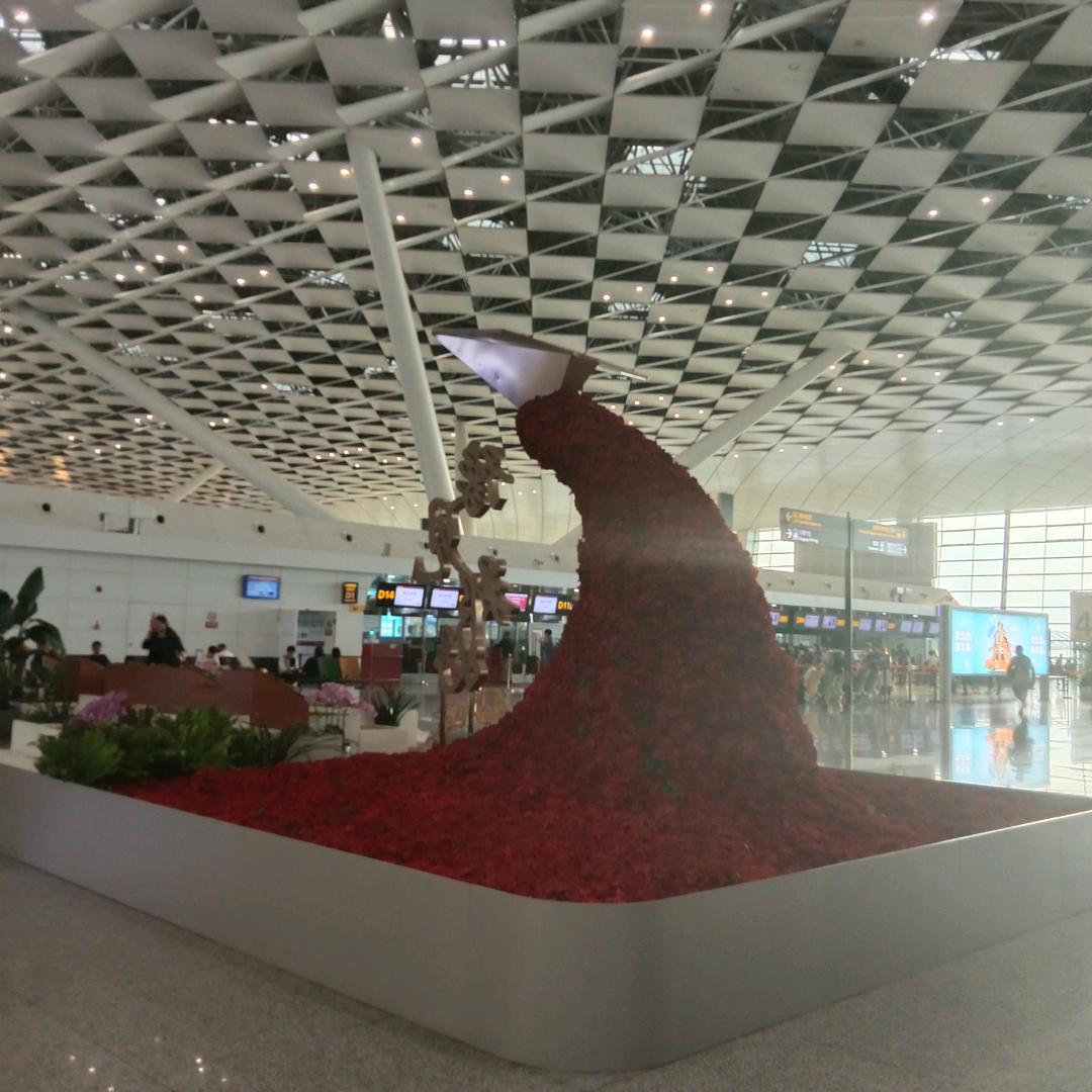 凤，低调做人🙏，随意而安💖