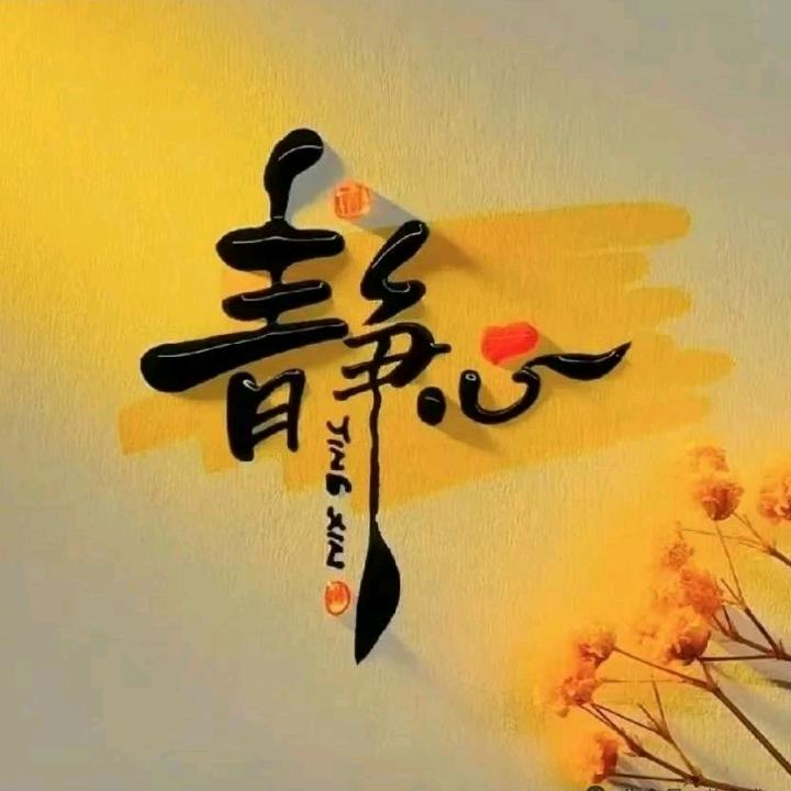 陈家💞