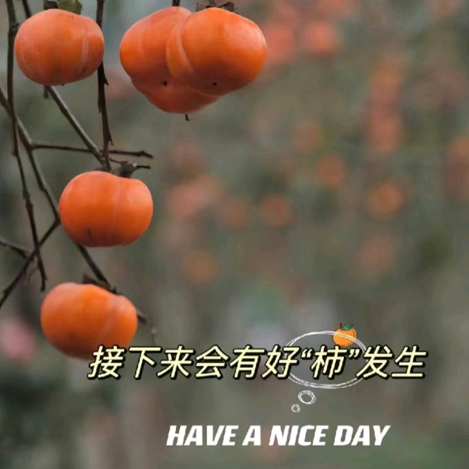 佳慕连锁龙泉吾悦广场店