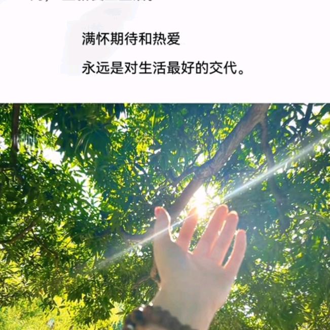 春暖花开🌤