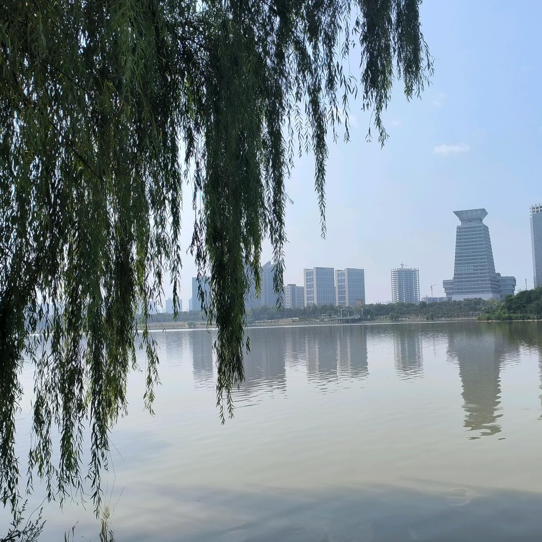 一块五分熟的牛排