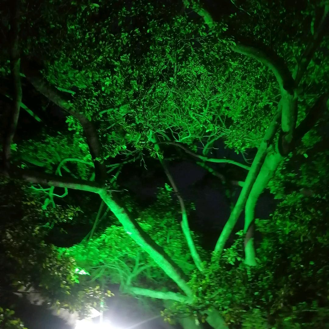 我在十字路口等你