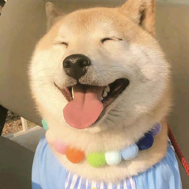 椰，是芽芽🫐