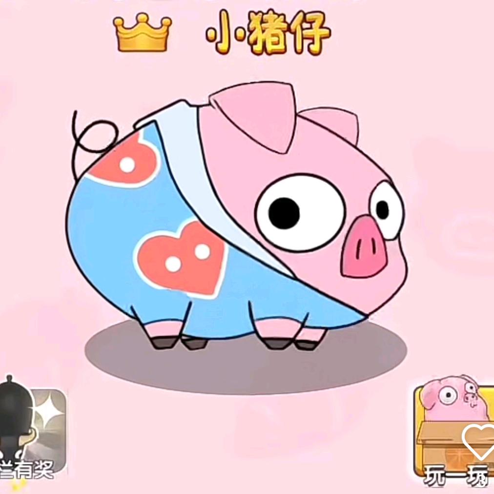 壁虎漫步