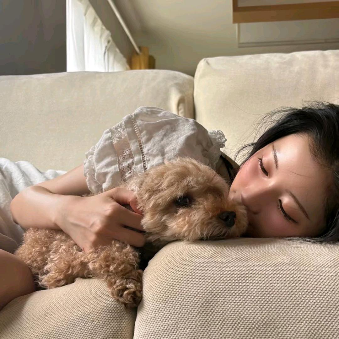 雨天听许愿