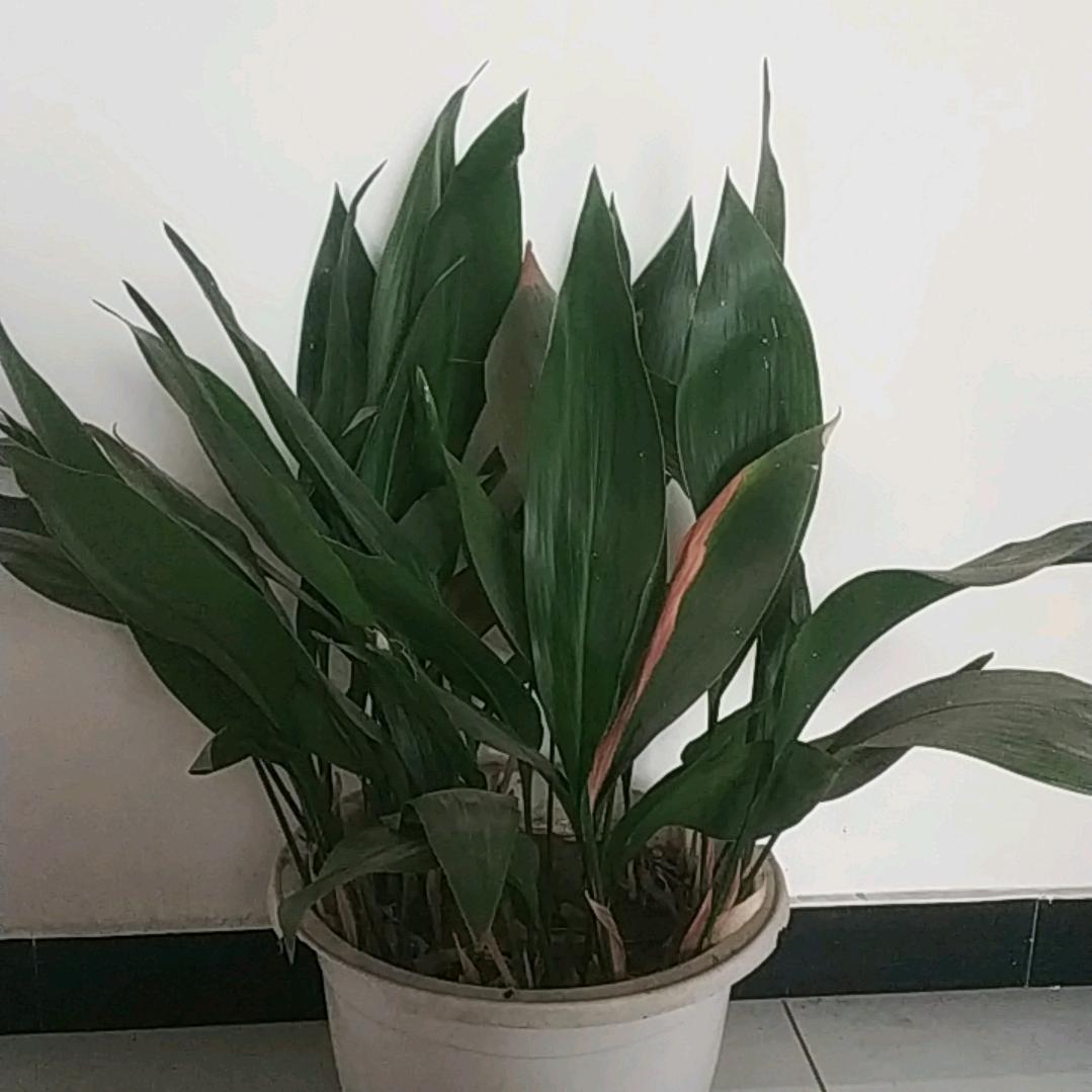 广度百货