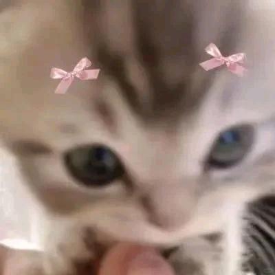 不吃元宵