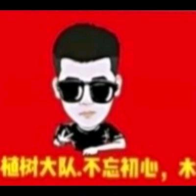 植🎄大队.不忘初心木（1407）