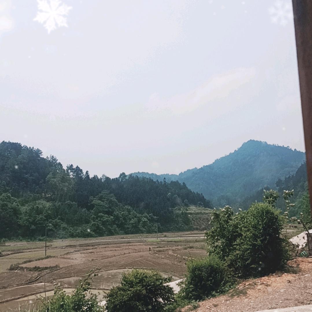 伤了我爱谁。。。