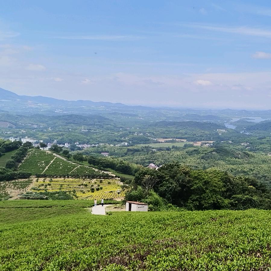 溧阳山野的风