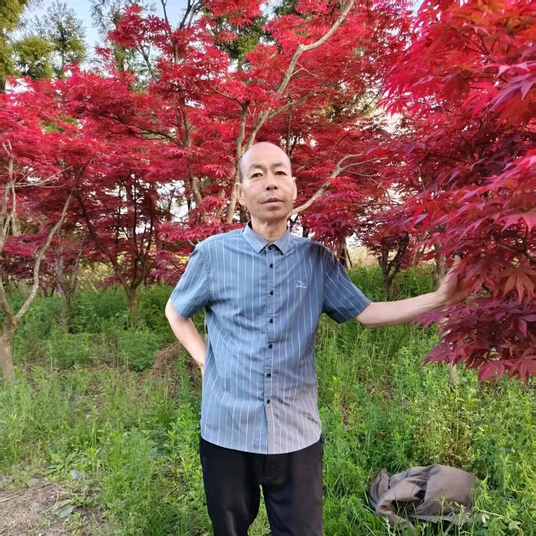 二哥