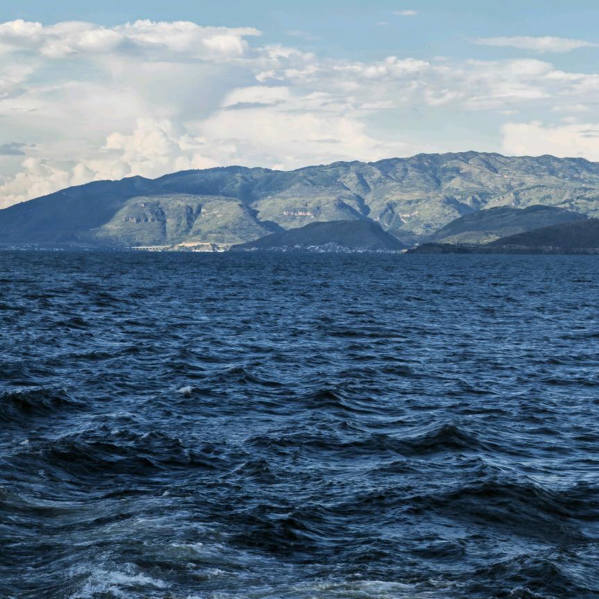 孤独风中一匹狼