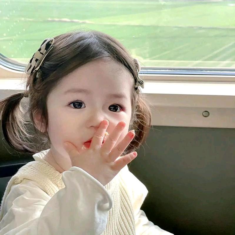 애니메이션