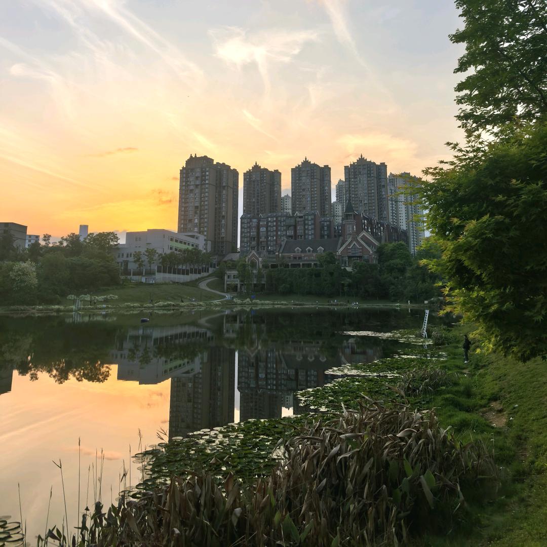 小馬哥3059