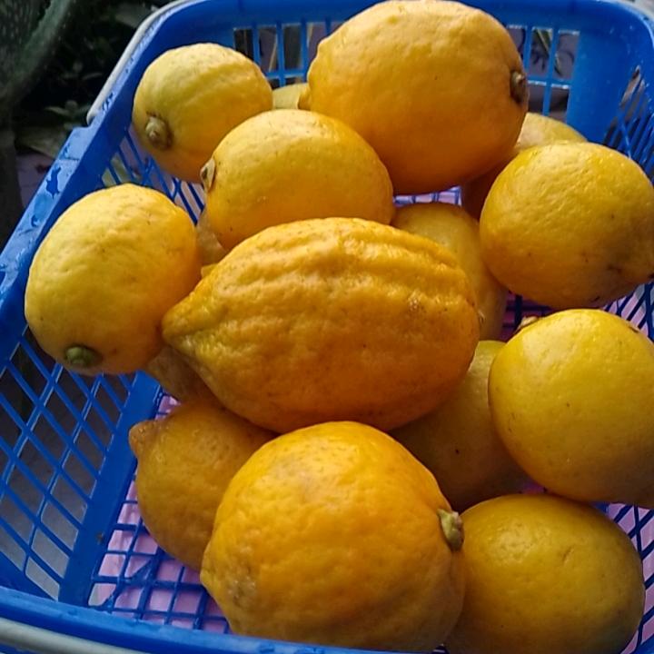 生活美满