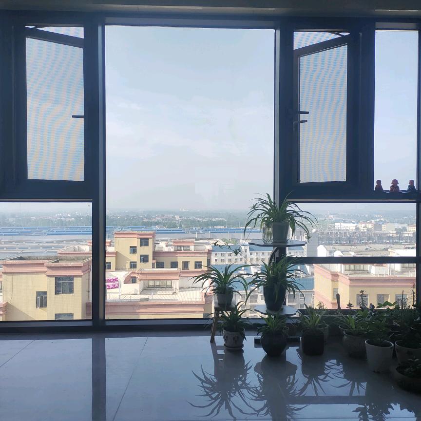建材丁丁(橱窗有好物)