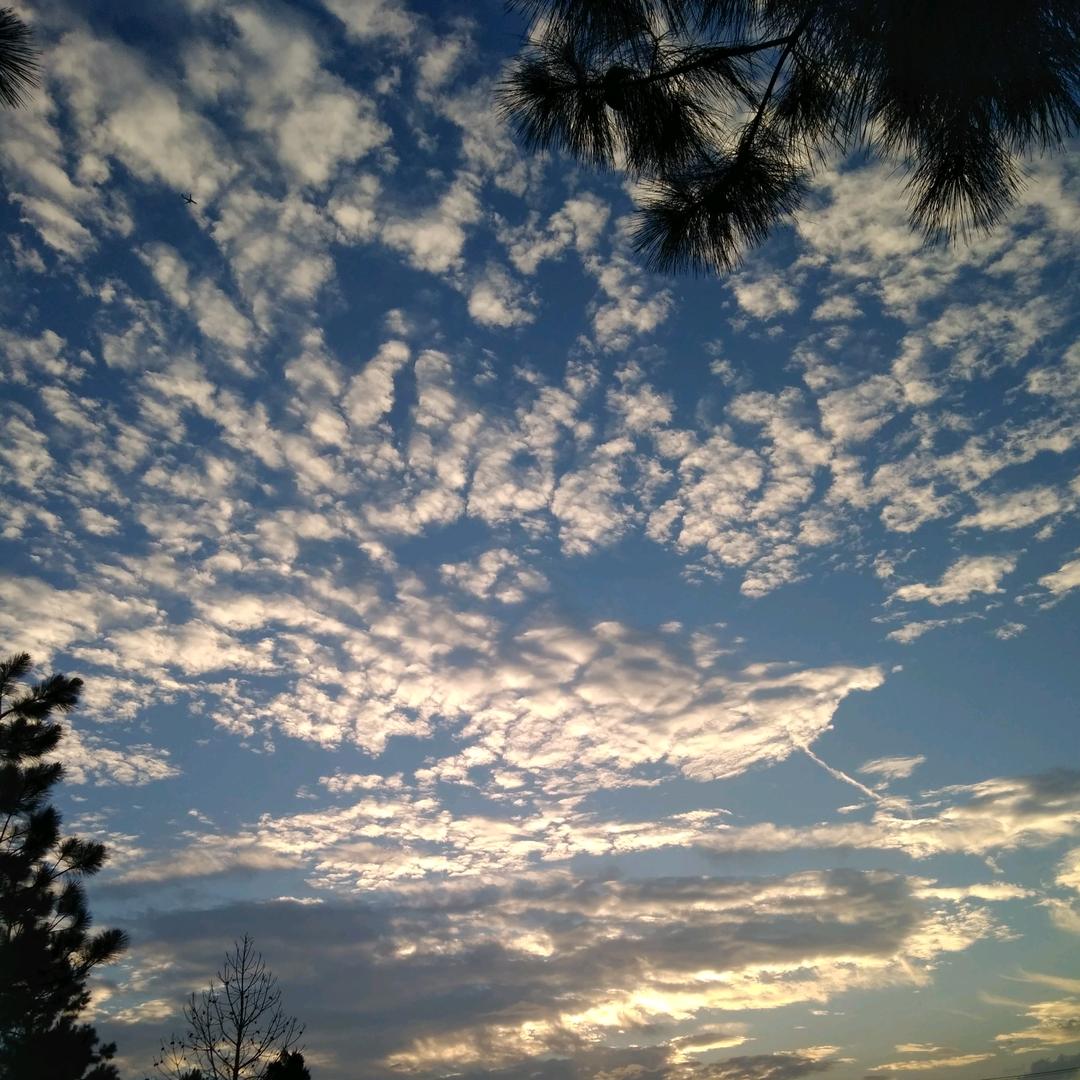 寒芒
