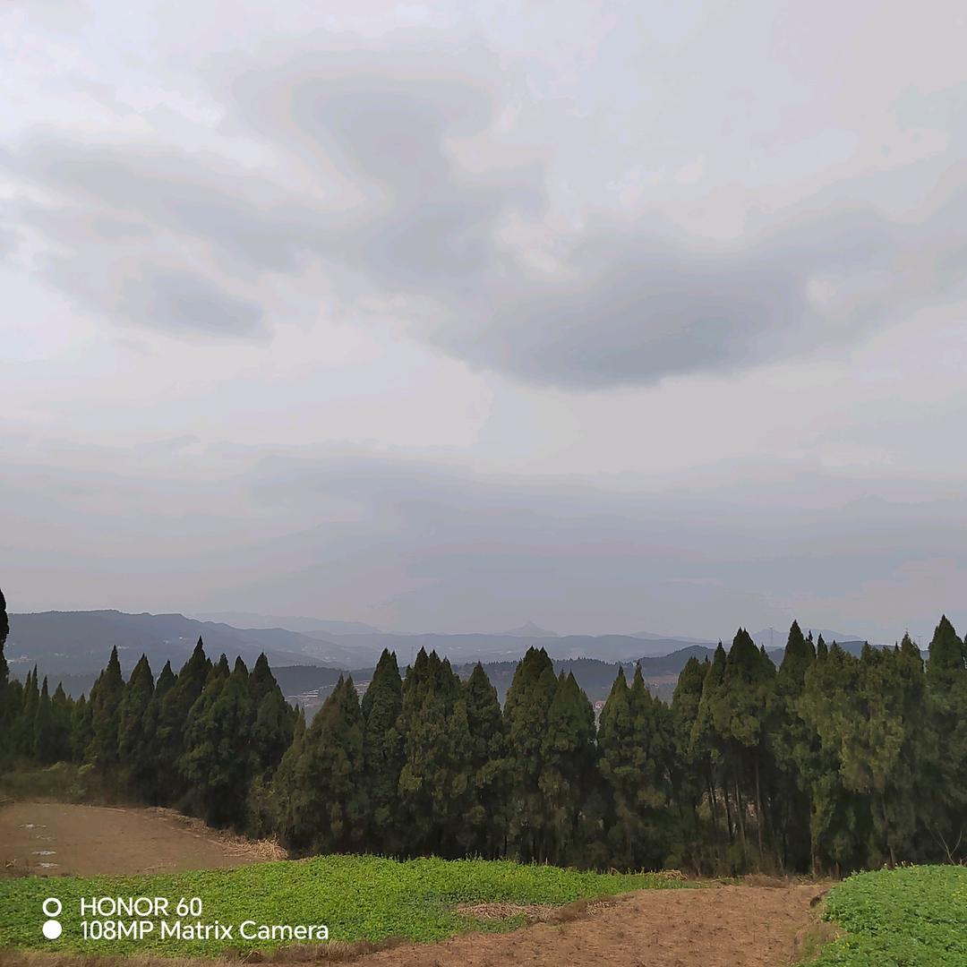 光头杰哥