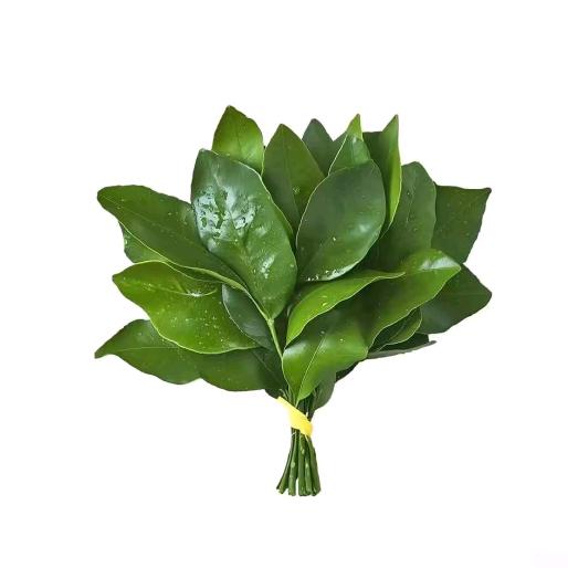 我不开心都是你害的滚