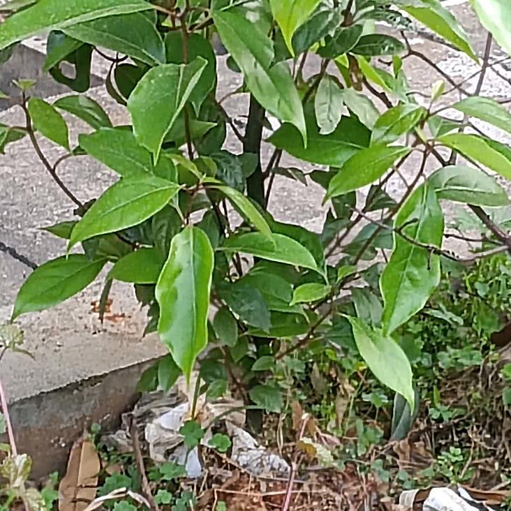 越来越好