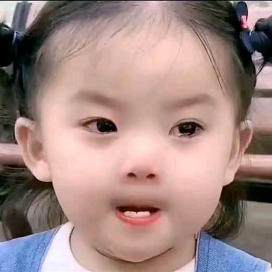 骑着蚂蚁逛世界