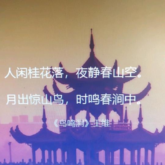 杨武成