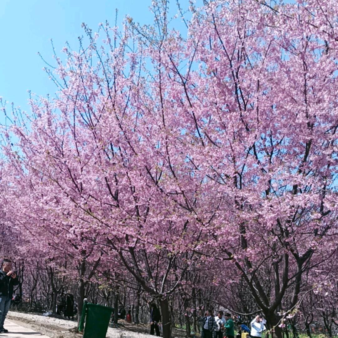 💋✩余生爱自己°꧁°*:.☆