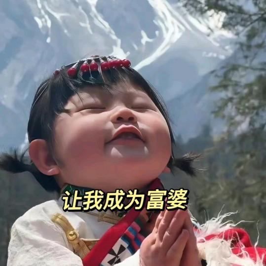 励志养只金毛